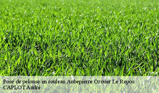 Pose de pelouse en rouleau  aubepierre-ozouer-le-repos-77720 CAPLOT André