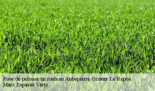 Pose de pelouse en rouleau  aubepierre-ozouer-le-repos-77720 Marc Espaces Verts 