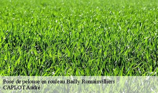 Pose de pelouse en rouleau  bailly-romainvilliers-77700 CAPLOT André