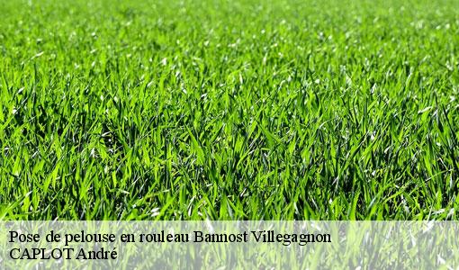 Pose de pelouse en rouleau bannost-villegagnon-77970 CAPLOT André