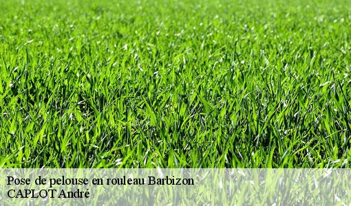 Pose de pelouse en rouleau  barbizon-77630 CAPLOT André