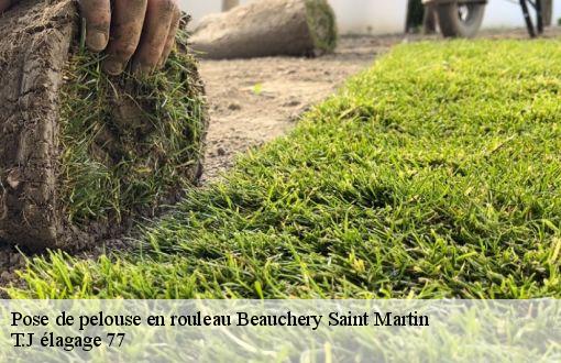 Pose de pelouse en rouleau  beauchery-saint-martin-77560 T.J élagage 77