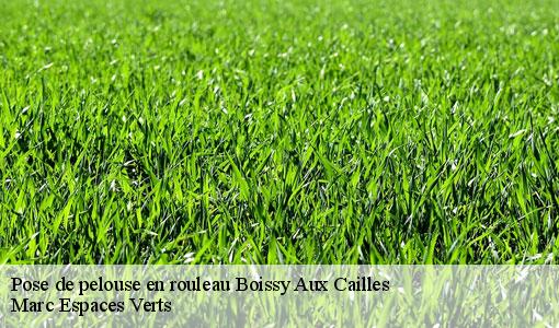 Pose de pelouse en rouleau  boissy-aux-cailles-77760 Marc Espaces Verts 
