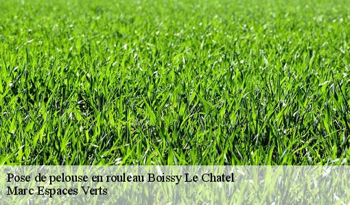 Pose de pelouse en rouleau  boissy-le-chatel-77169 Marc Espaces Verts 
