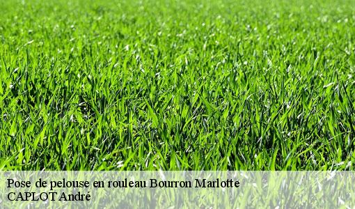 Pose de pelouse en rouleau  bourron-marlotte-77780 CAPLOT André