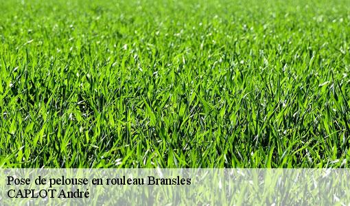Pose de pelouse en rouleau bransles-77620 CAPLOT André