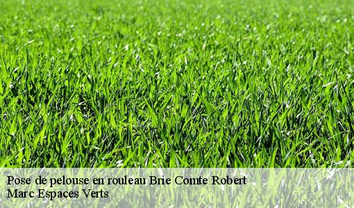 Pose de pelouse en rouleau  brie-comte-robert-77170 Marc Espaces Verts 