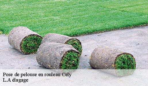 Pose de pelouse en rouleau cely-77930 L.A élagage