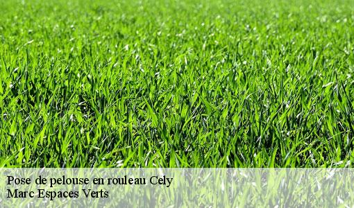 Pose de pelouse en rouleau  cely-77930 Marc Espaces Verts 