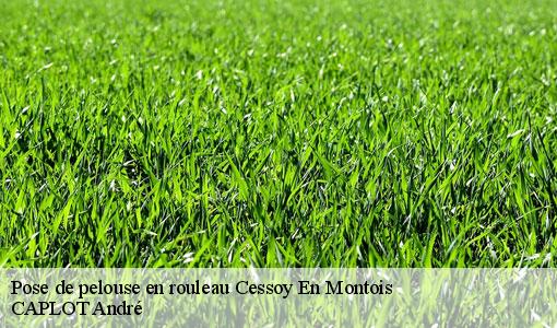 Pose de pelouse en rouleau  cessoy-en-montois-77520 CAPLOT André