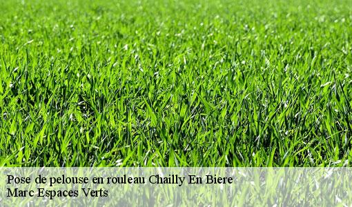 Pose de pelouse en rouleau  chailly-en-biere-77930 Marc Espaces Verts 