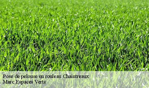 Pose de pelouse en rouleau  chaintreaux-77460 Marc Espaces Verts 