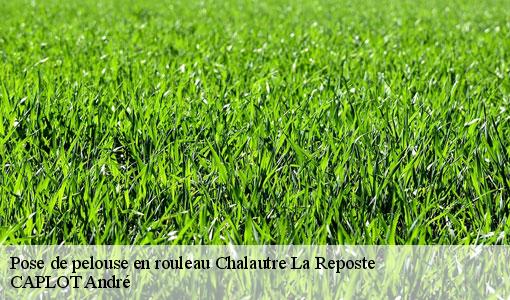 Pose de pelouse en rouleau  chalautre-la-reposte-77520 CAPLOT André