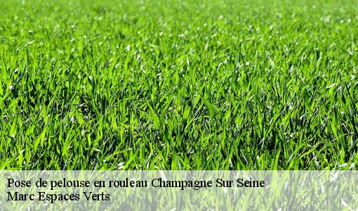Pose de pelouse en rouleau  champagne-sur-seine-77430 Marc Espaces Verts 