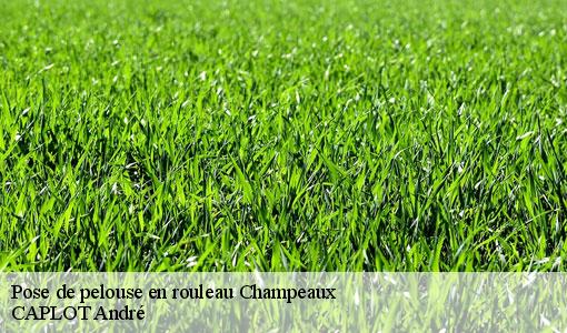 Pose de pelouse en rouleau  champeaux-77720 CAPLOT André