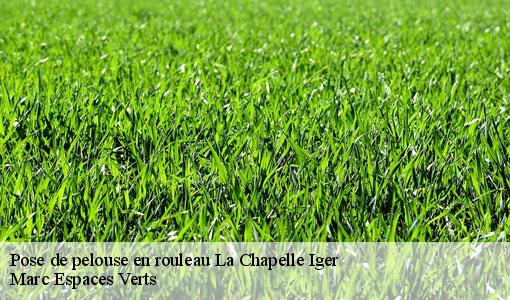 Pose de pelouse en rouleau  la-chapelle-iger-77540 Marc Espaces Verts 