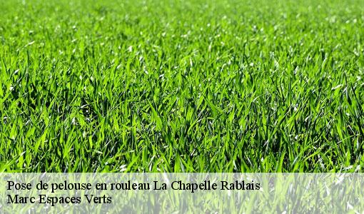 Pose de pelouse en rouleau  la-chapelle-rablais-77370 Marc Espaces Verts 