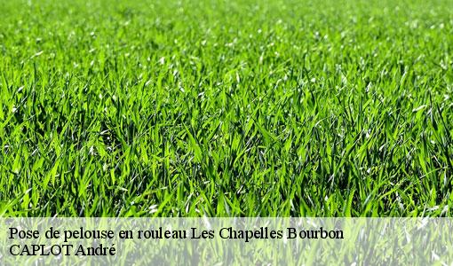 Pose de pelouse en rouleau les-chapelles-bourbon-77610 CAPLOT André