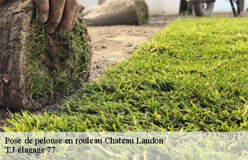 Pose de pelouse en rouleau  chateau-landon-77570 T.J élagage 77