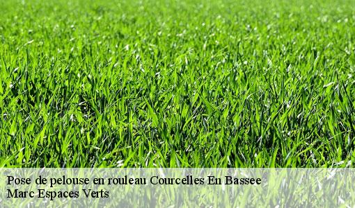 Pose de pelouse en rouleau  courcelles-en-bassee-77126 Marc Espaces Verts 