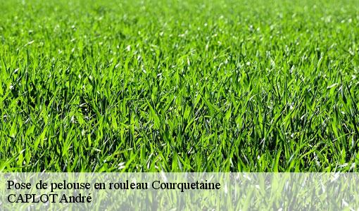 Pose de pelouse en rouleau courquetaine-77390 CAPLOT André