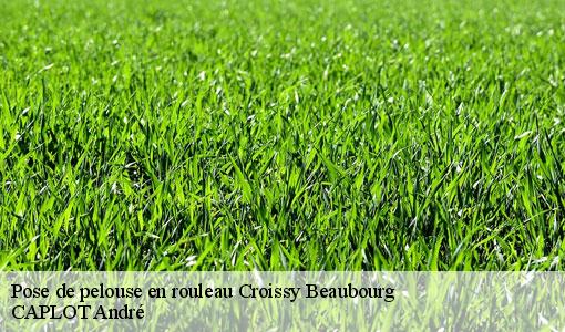 Pose de pelouse en rouleau croissy-beaubourg-77183 CAPLOT André