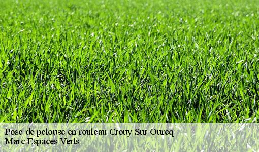 Pose de pelouse en rouleau  crouy-sur-ourcq-77840 Marc Espaces Verts 