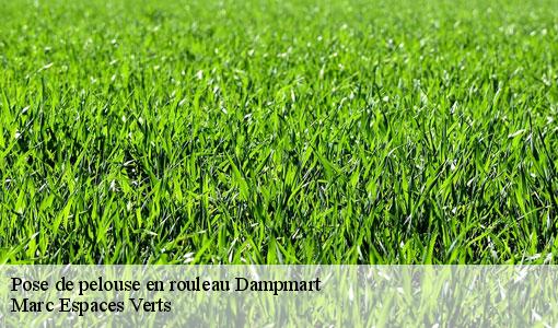 Pose de pelouse en rouleau  dampmart-77400 Marc Espaces Verts 