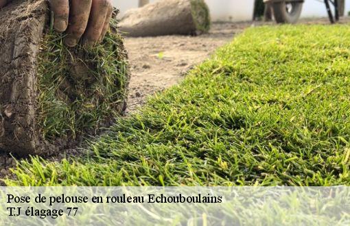 Pose de pelouse en rouleau  echouboulains-77830 T.J élagage 77