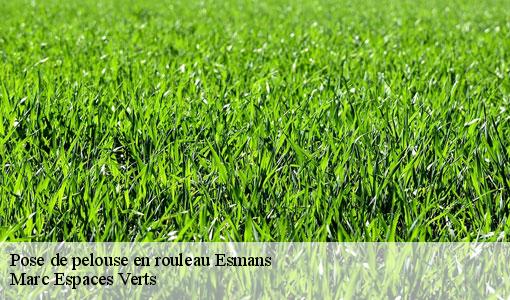 Pose de pelouse en rouleau  esmans-77940 Marc Espaces Verts 
