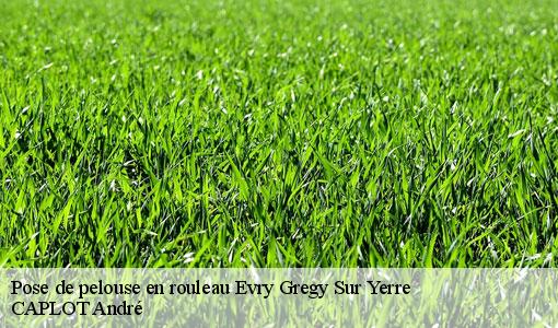 Pose de pelouse en rouleau evry-gregy-sur-yerre-77166 CAPLOT André