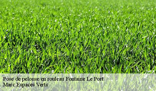 Pose de pelouse en rouleau  fontaine-le-port-77590 Marc Espaces Verts 