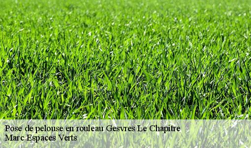 Pose de pelouse en rouleau  gesvres-le-chapitre-77165 Marc Espaces Verts 