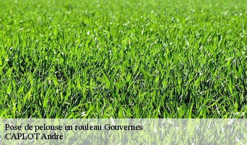 Pose de pelouse en rouleau  gouvernes-77400 CAPLOT André