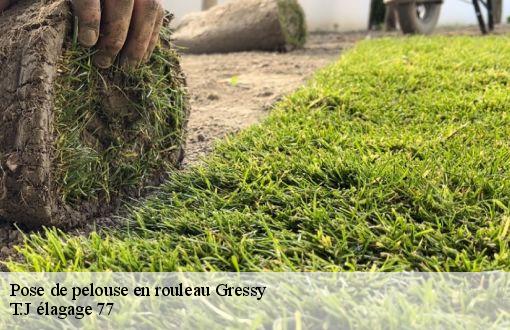Pose de pelouse en rouleau  gressy-77410 T.J élagage 77