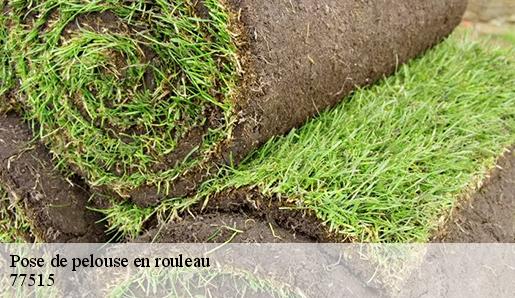 Pose de pelouse en rouleau 77515