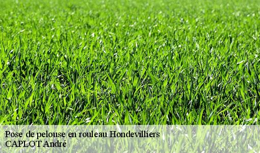 Pose de pelouse en rouleau  hondevilliers-77510 CAPLOT André