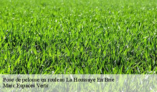 Pose de pelouse en rouleau  la-houssaye-en-brie-77610 Marc Espaces Verts 