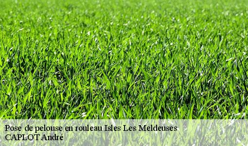 Pose de pelouse en rouleau isles-les-meldeuses-77440 CAPLOT André