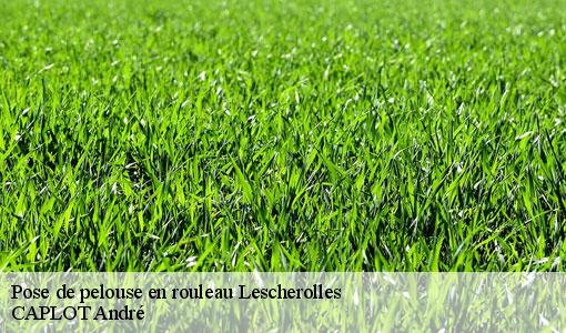 Pose de pelouse en rouleau lescherolles-77320 CAPLOT André