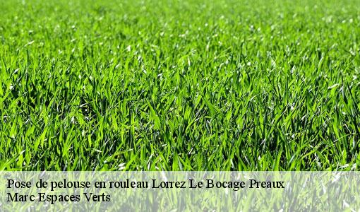 Pose de pelouse en rouleau  lorrez-le-bocage-preaux-77710 Marc Espaces Verts 