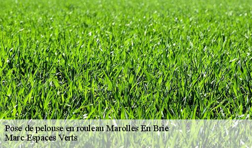 Pose de pelouse en rouleau  marolles-en-brie-77120 Marc Espaces Verts 