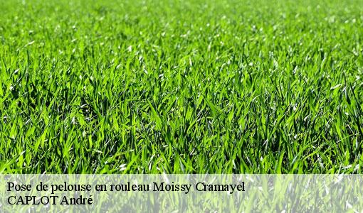 Pose de pelouse en rouleau moissy-cramayel-77550 CAPLOT André