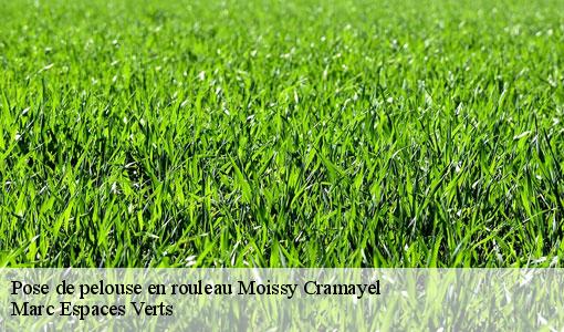 Pose de pelouse en rouleau  moissy-cramayel-77550 Marc Espaces Verts 