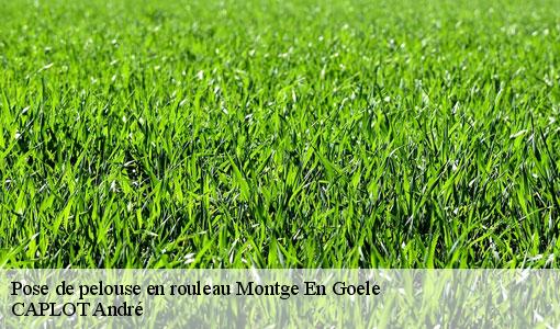Pose de pelouse en rouleau montge-en-goele-77230 CAPLOT André
