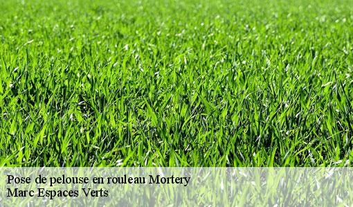 Pose de pelouse en rouleau  mortery-77160 Marc Espaces Verts 