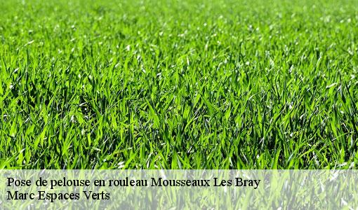 Pose de pelouse en rouleau  mousseaux-les-bray-77480 Marc Espaces Verts 