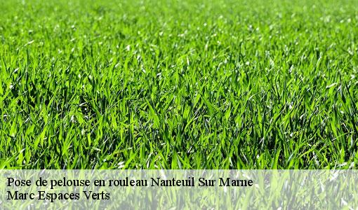 Pose de pelouse en rouleau nanteuil-sur-marne-77730 Marc Espaces Verts