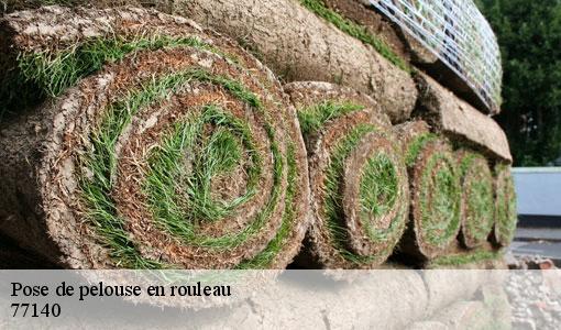 Pose de pelouse en rouleau 77140