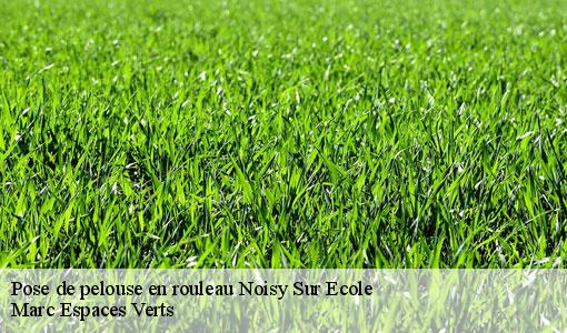 Pose de pelouse en rouleau  noisy-sur-ecole-77123 Marc Espaces Verts 